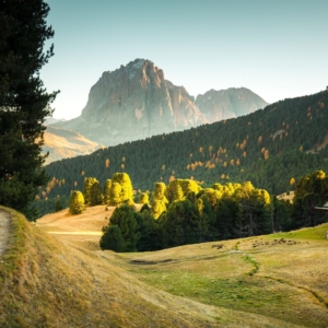 راهنمای کامل اجاره ویلا در شمال؛ قبل از رزرو این نکات را بدانید