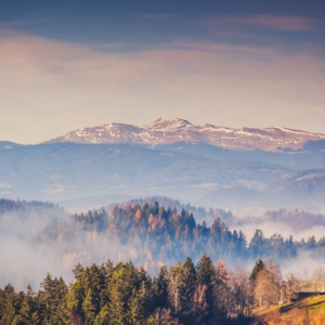 راهنمای کامل خرید و فروش زمین در شمال